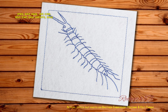 Centipede Worm Redwork Review for Seasonal Embroidery